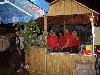 cimg0079.jpg